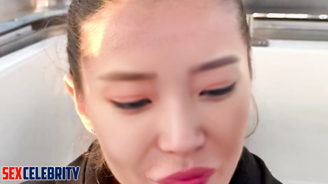 Quickie blowjob on the ferris wheel in Paris (이지은 어른들의 비디오) IU fakeapp