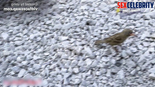 Deepfake Emma Watson naughty cat